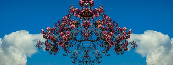 Viareggio3888art